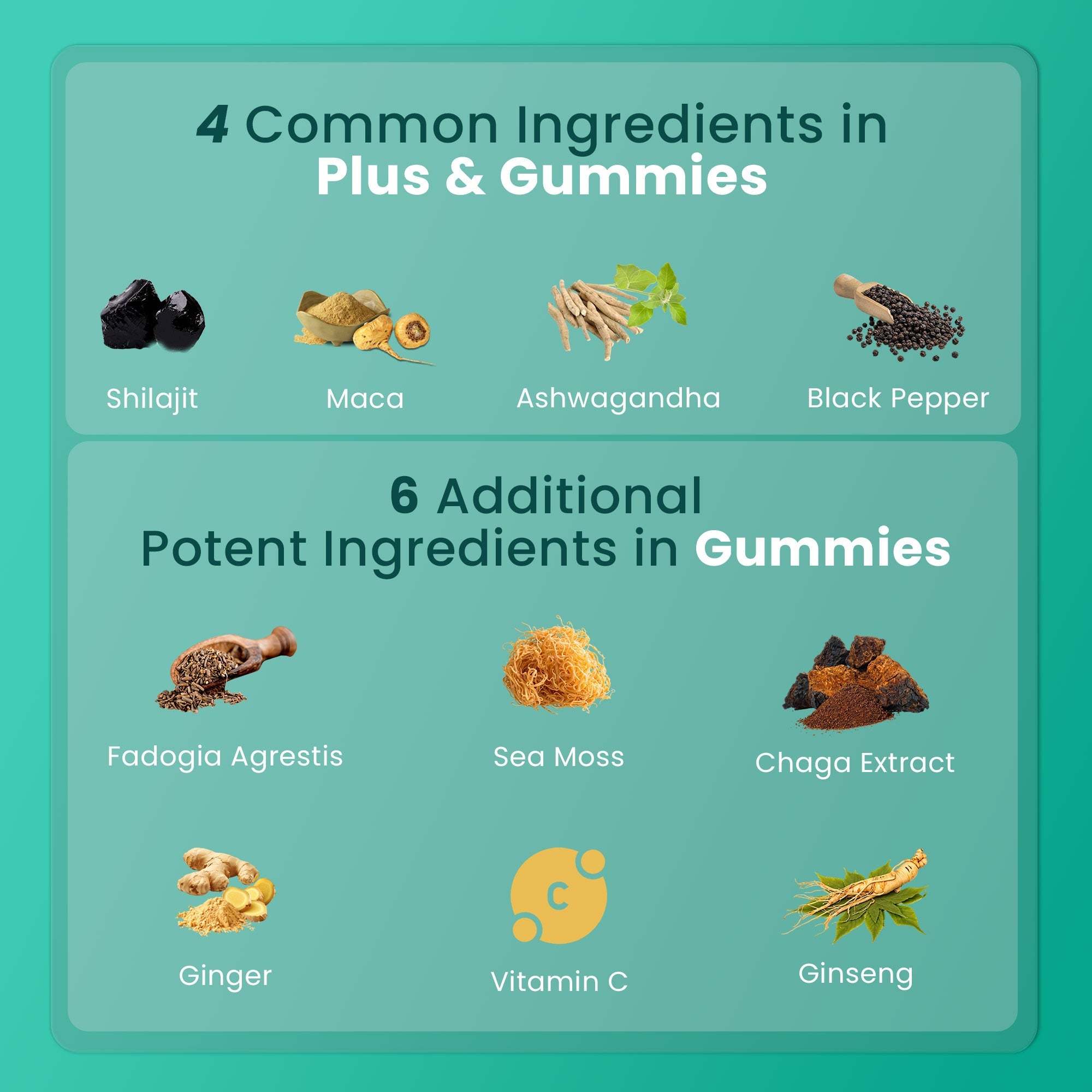 BeepWell Shilajit Resin & Gummies Combo – Fulvic Acid + Ayurvedic Blend – 50g Resin (50 Servings) & 60 Gummies – For Men & Women