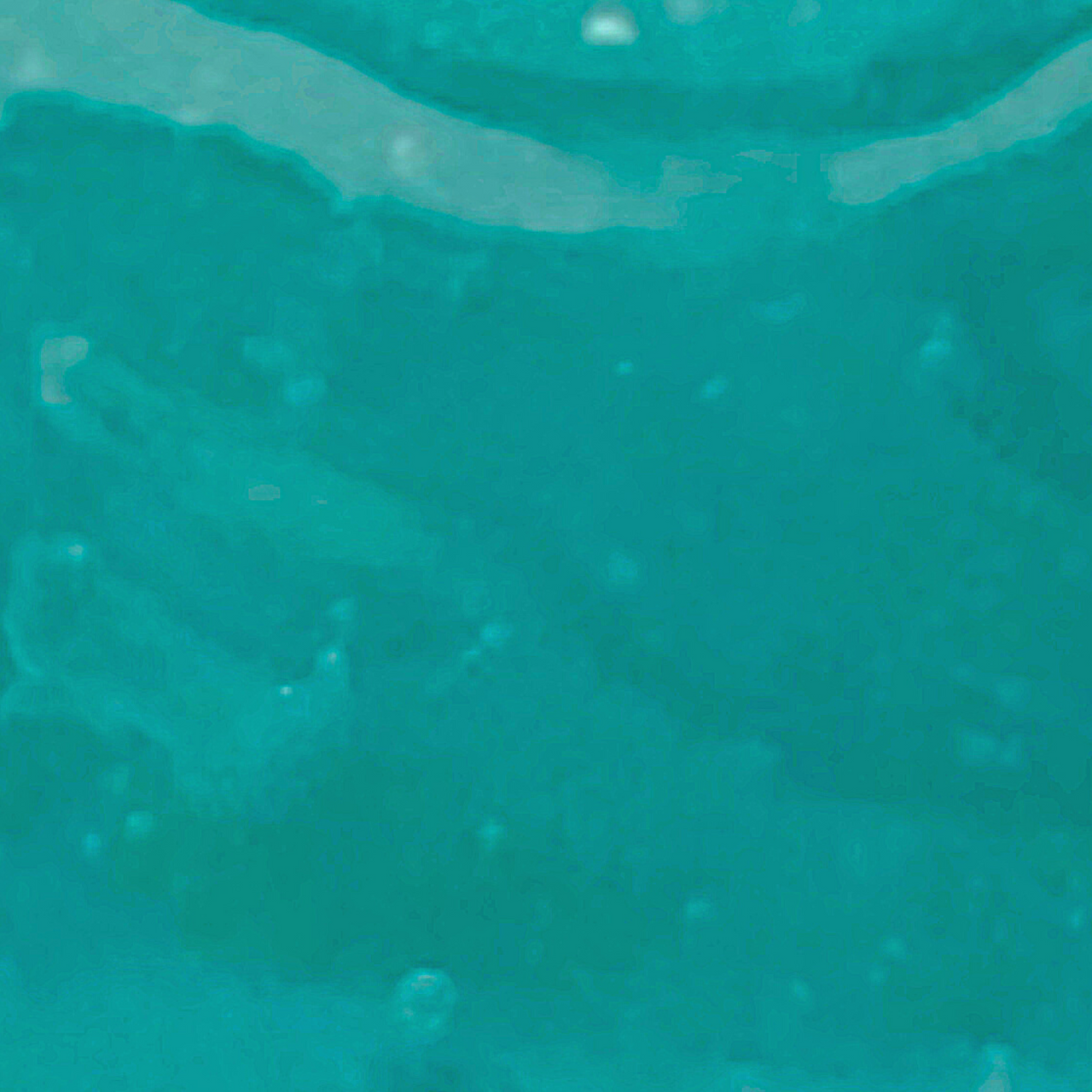 OCEAN JELLY  Mask -it's back in stock!